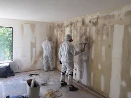 Best Industrial Mold Remediation in Bridgewater, VA